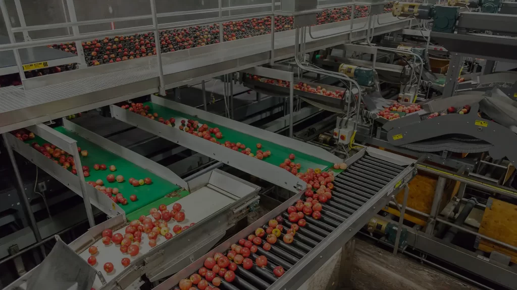 Food Processing Plant Cleaning