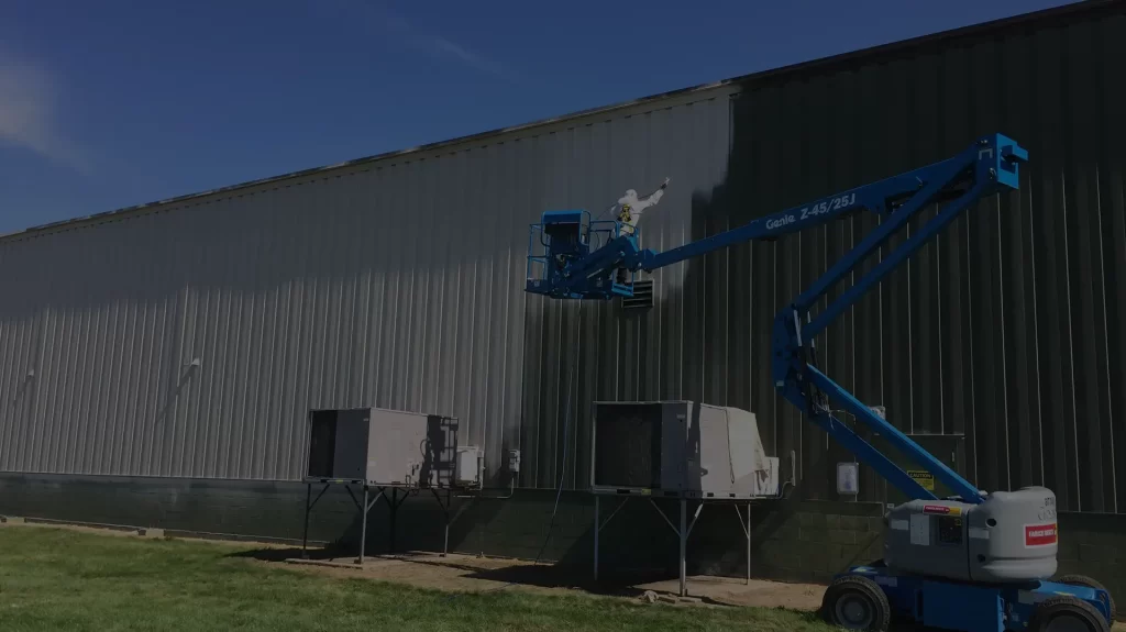 Exterior Plant Painting