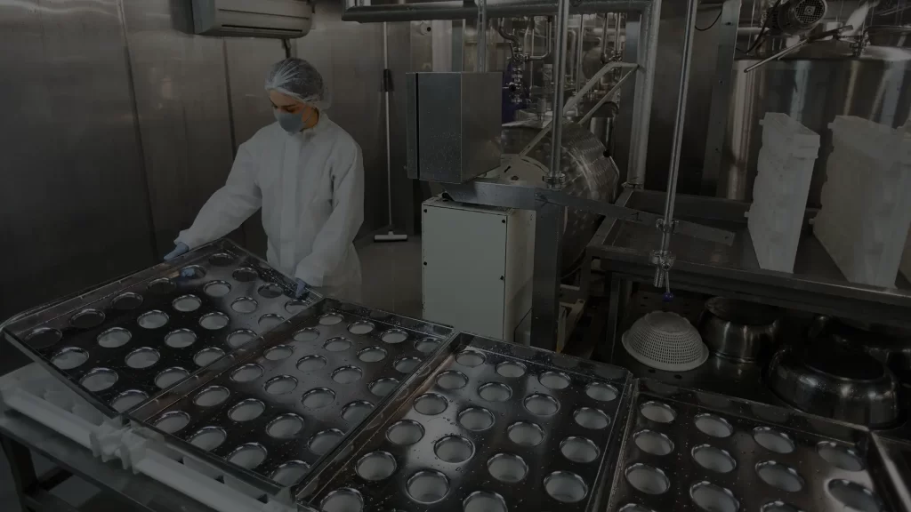 Food plant sanitizing